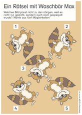 09-06 Waschbär Max.pdf